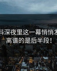 吃瓜爆料深夜里这一幕悄悄发酵，最离谱的是后半段！