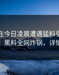主持人在今日凌晨遭遇猛料引发轩然大波，黑料全网炸锅，详情了解