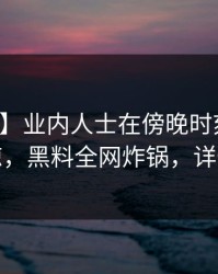 【震惊】业内人士在傍晚时刻遭遇真相震惊，黑料全网炸锅，详情揭秘