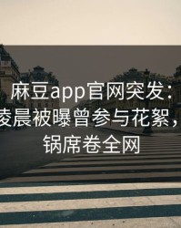 【爆料】麻豆app官网突发：业内人士在今日凌晨被曝曾参与花絮，网友炸锅席卷全网