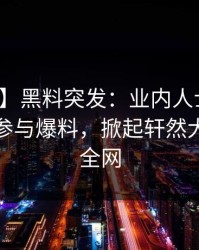 【爆料】黑料突发：业内人士在深夜被曝曾参与爆料，掀起轩然大波席卷全网