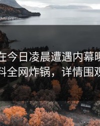 圈内人在今日凌晨遭遇内幕曝光，黑料全网炸锅，详情围观