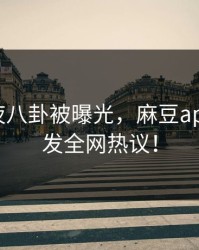 明星深夜八卦被曝光，麻豆app官网引发全网热议！