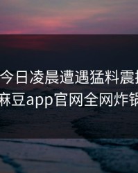 圈内人今日凌晨遭遇猛料震撼人心，麻豆app官网全网炸锅